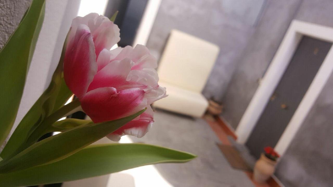 I Cappuccini Rooms Катания Экстерьер фото